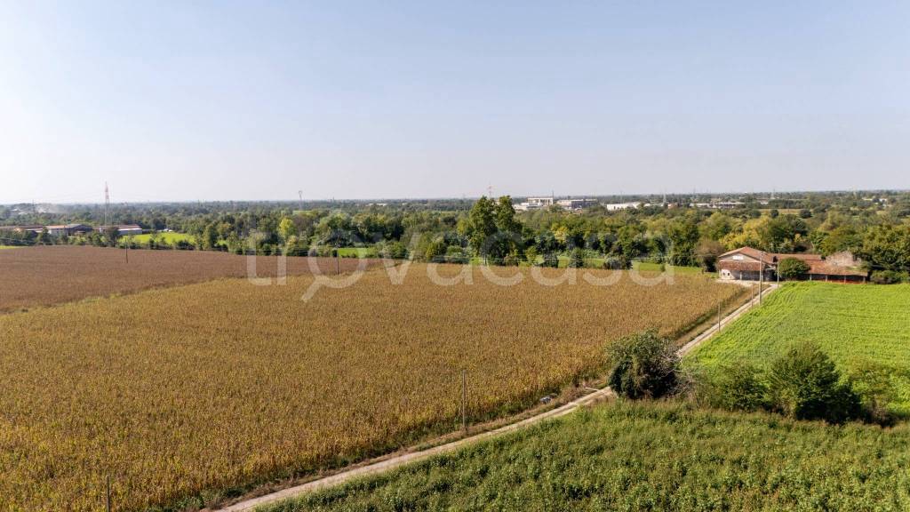 immagine annuncio 6 di 8