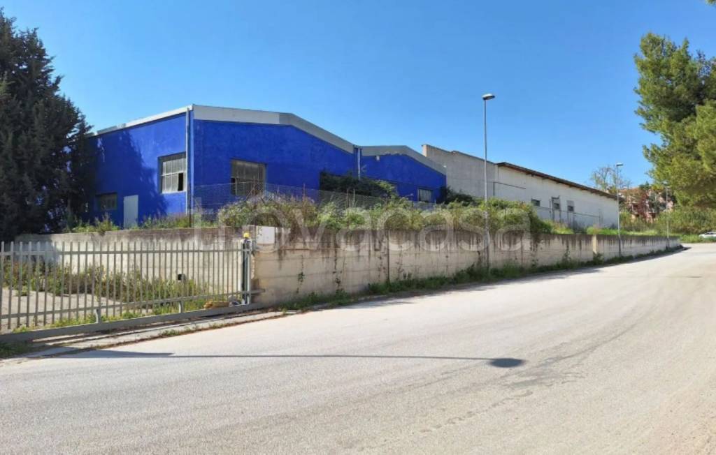 immagine annuncio 4 di 13