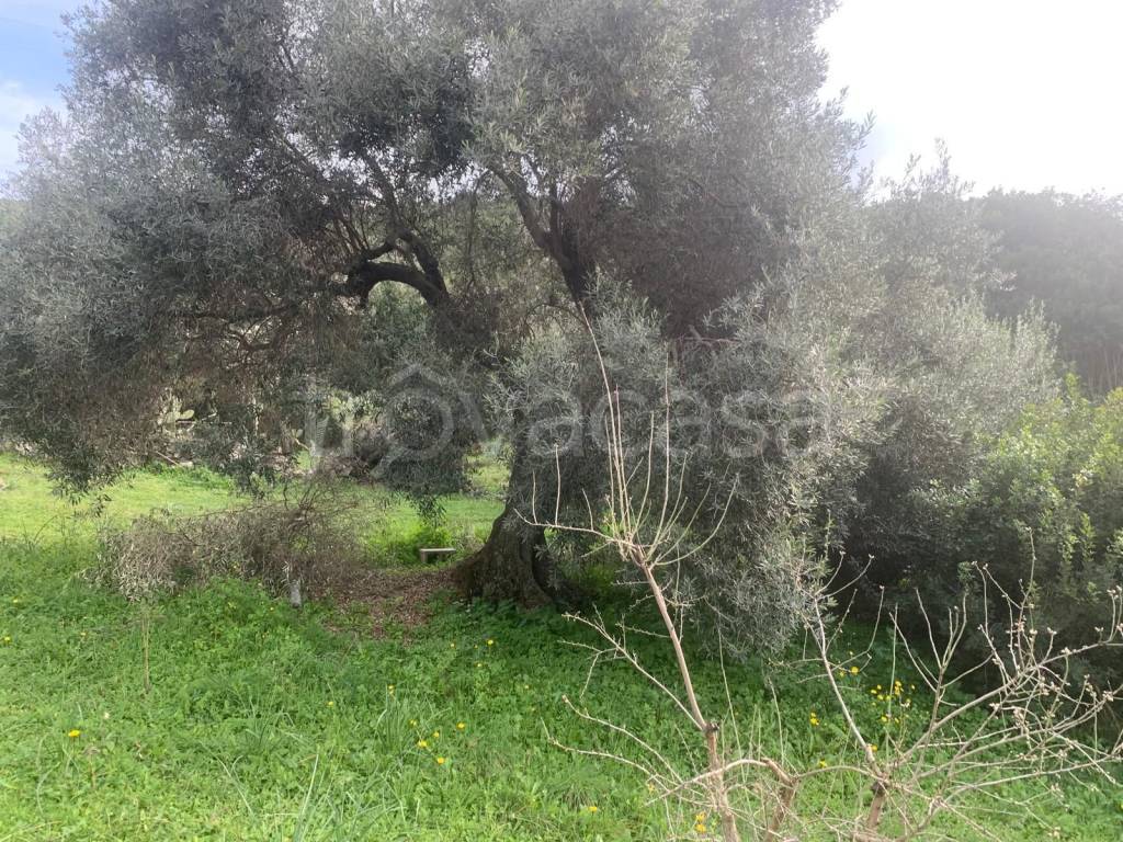 immagine annuncio 8 di 13