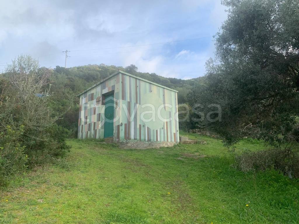 immagine annuncio 9 di 13