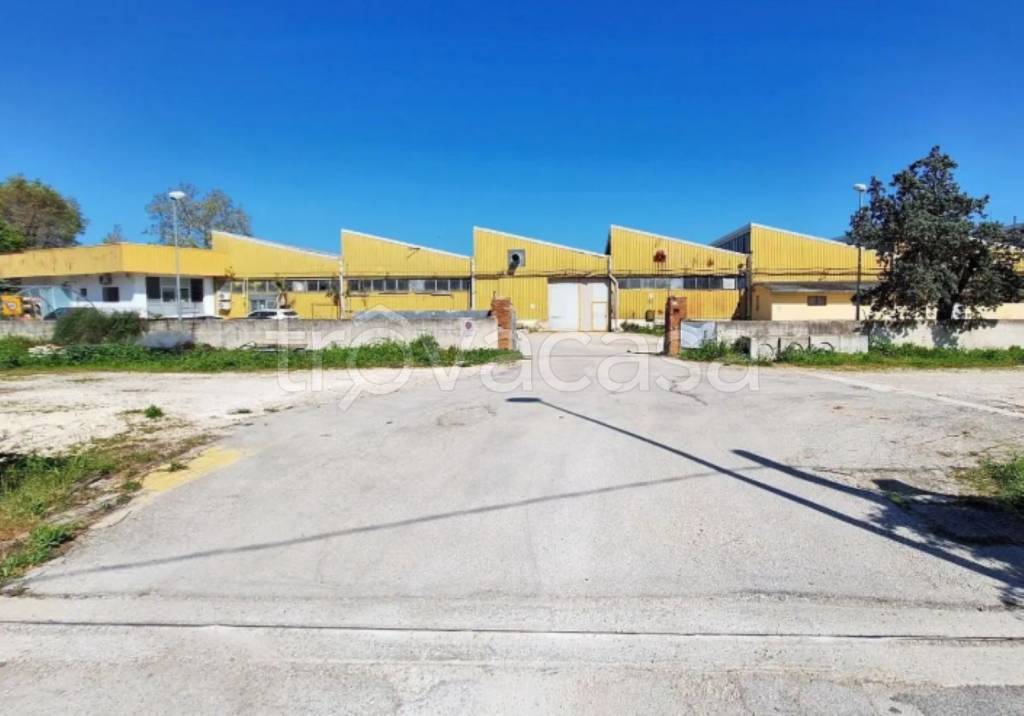 immagine annuncio 7 di 13