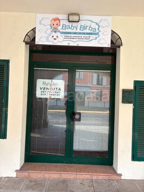 immagine annuncio 5 di 15