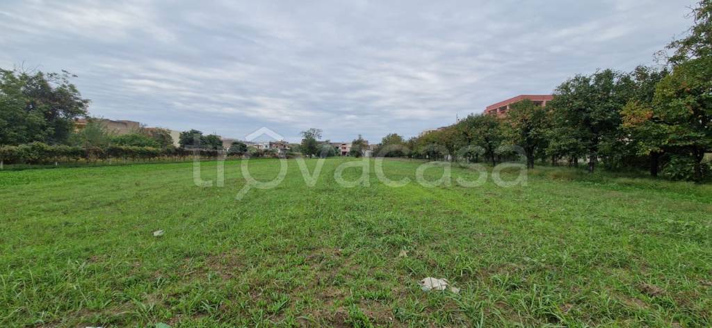 immagine annuncio 6 di 12