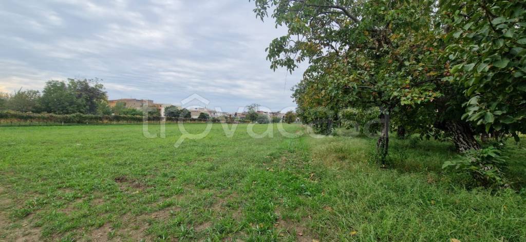 immagine annuncio 8 di 12