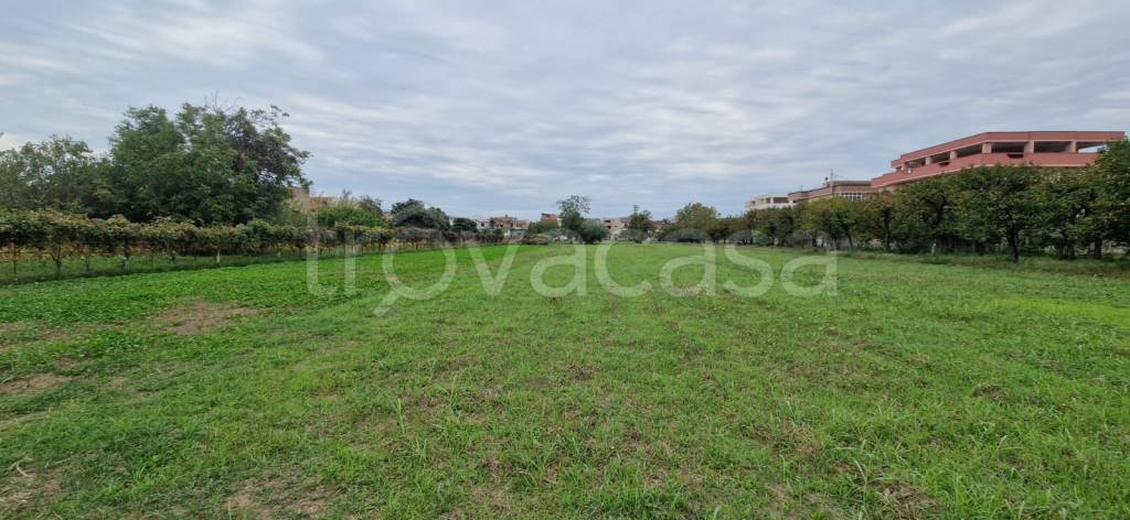 immagine annuncio 9 di 12