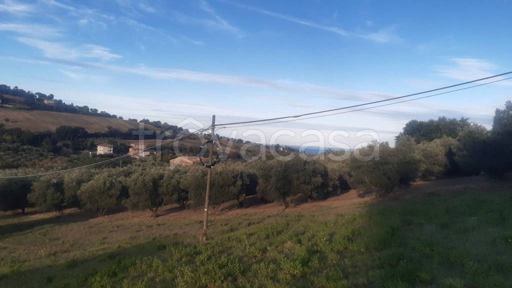 immagine annuncio 7 di 12