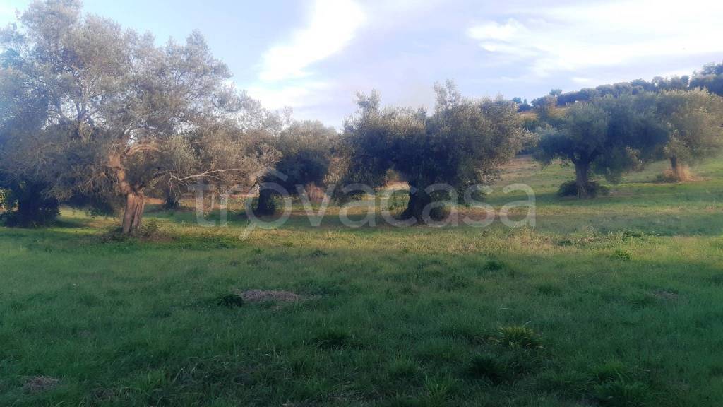 immagine annuncio 11 di 12