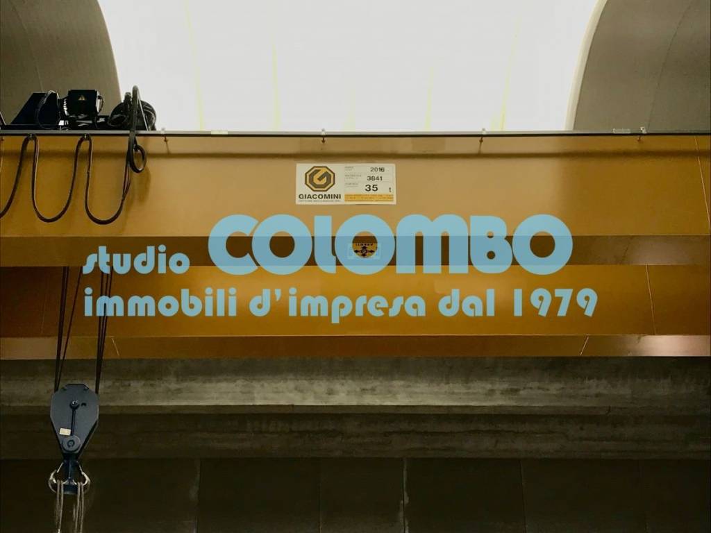 immagine annuncio 4 di 13