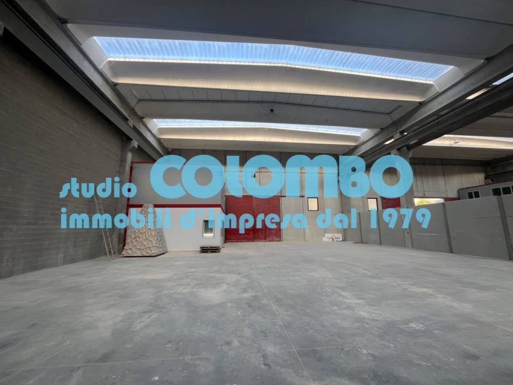 immagine annuncio 3 di 13