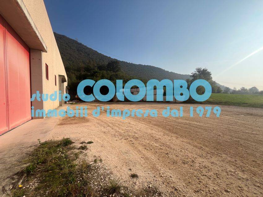 immagine annuncio 10 di 13