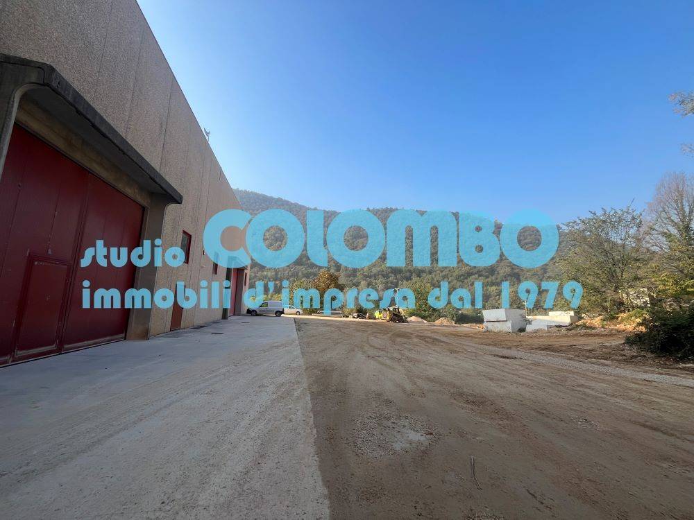 immagine annuncio 11 di 13