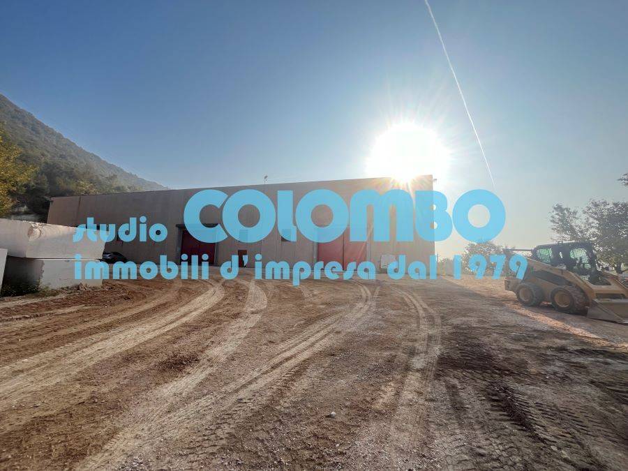 immagine annuncio 12 di 13