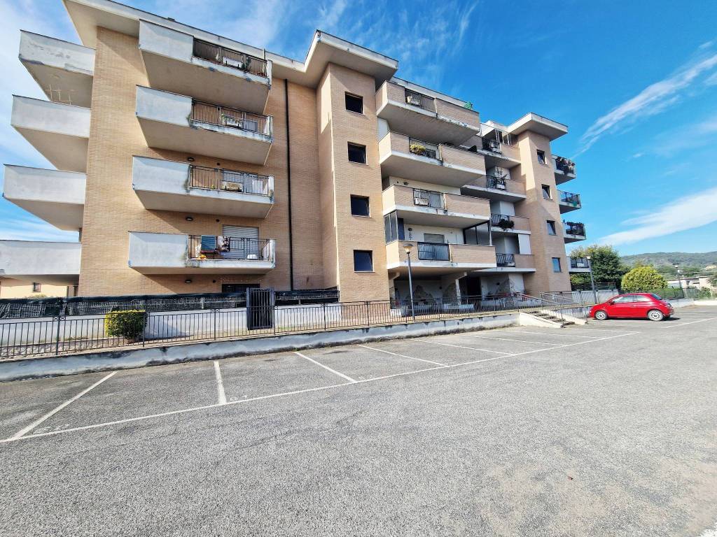 immagine annuncio 12 di 13