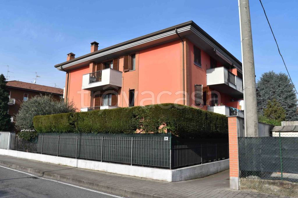 immagine annuncio 7 di 15