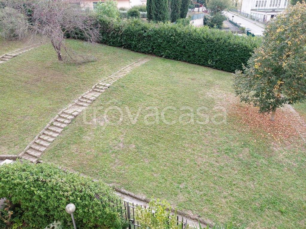 immagine annuncio 5 di 14