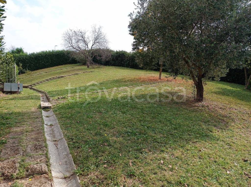 immagine annuncio 6 di 14