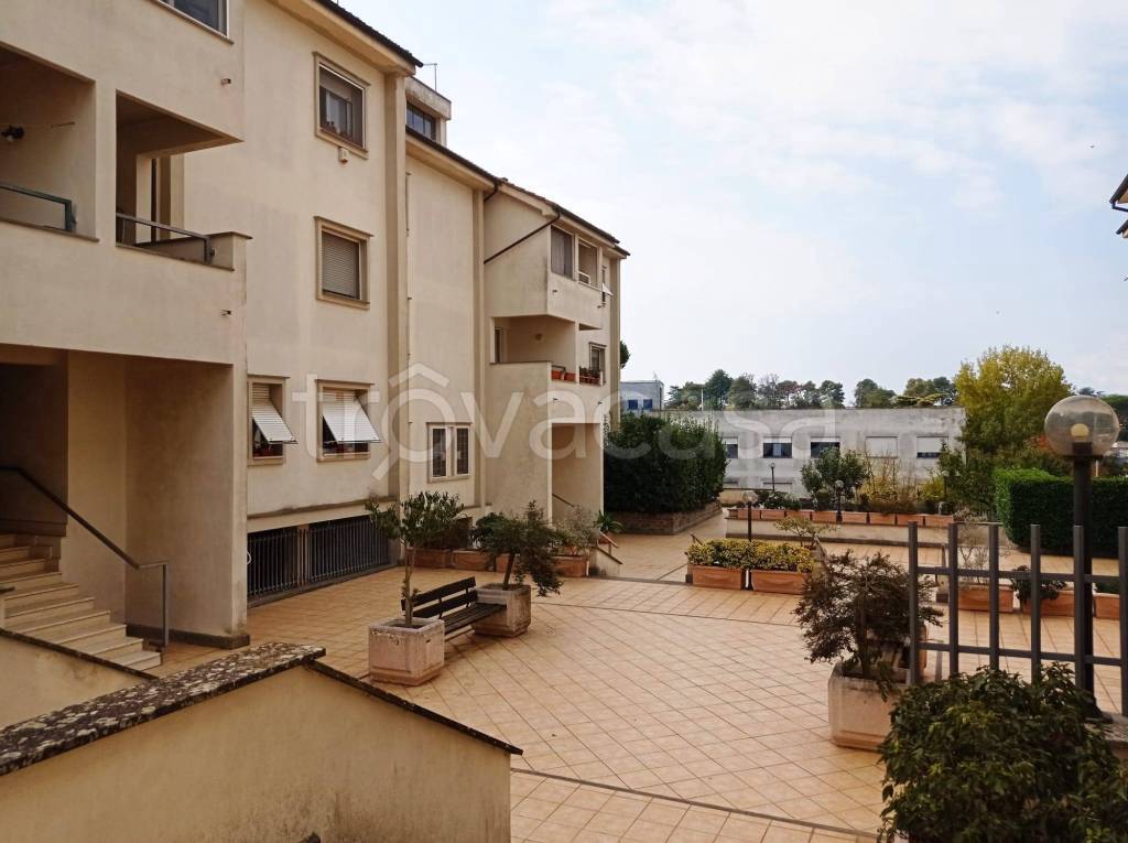 immagine annuncio 7 di 14