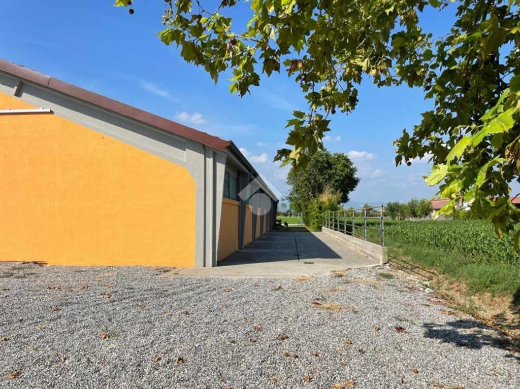 immagine annuncio 6 di 15