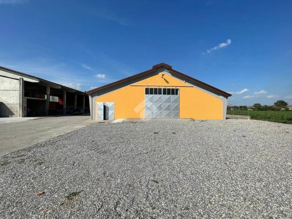 immagine annuncio 10 di 15