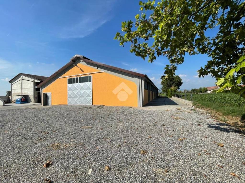 immagine annuncio 13 di 15