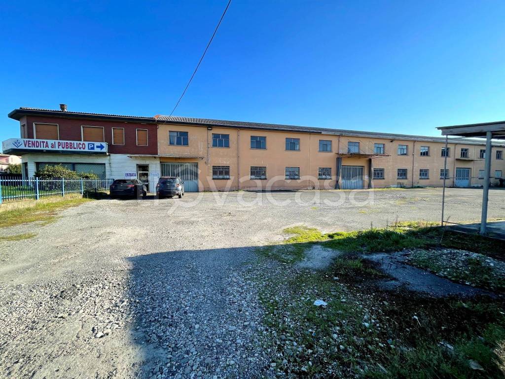 immagine annuncio 1 di 15