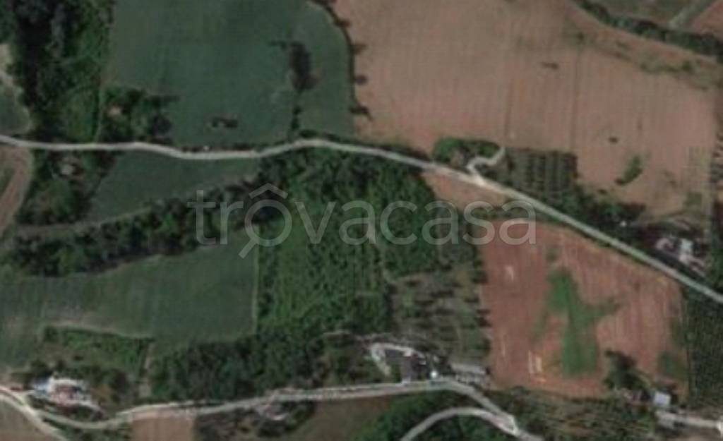 immagine annuncio 4 di 12