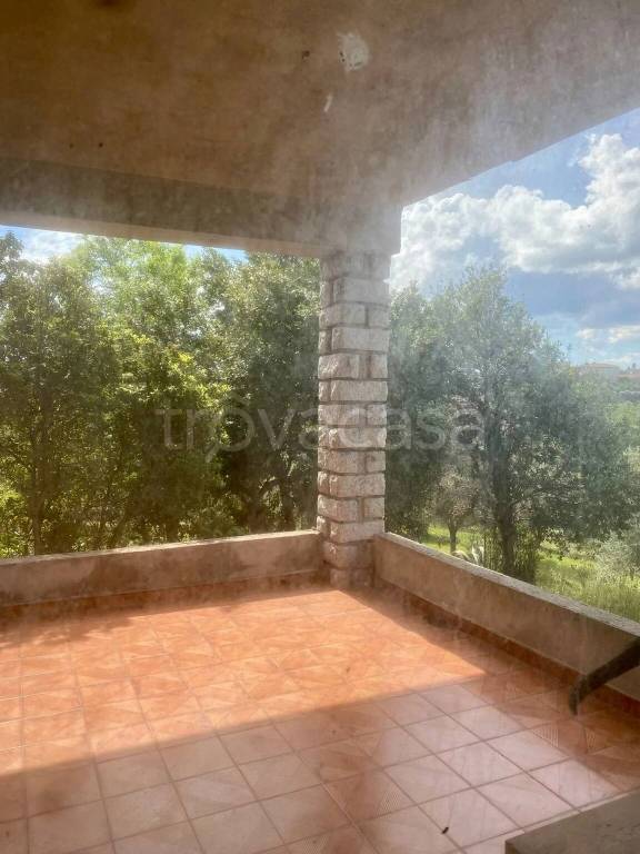 immagine annuncio 8 di 9