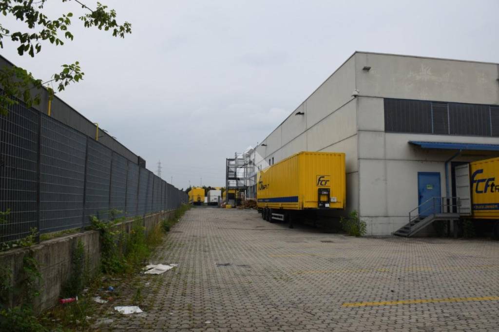 immagine annuncio 3 di 15