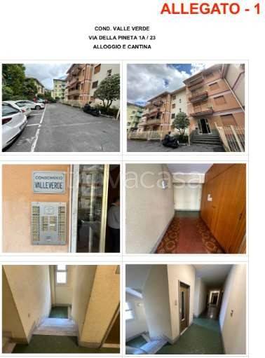 immagine annuncio 4 di 8