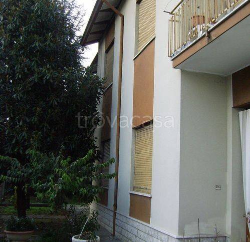 immagine annuncio 5 di 14