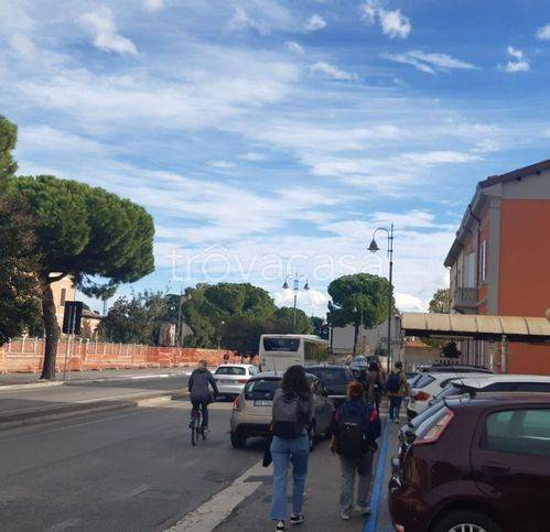 immagine annuncio 9 di 14