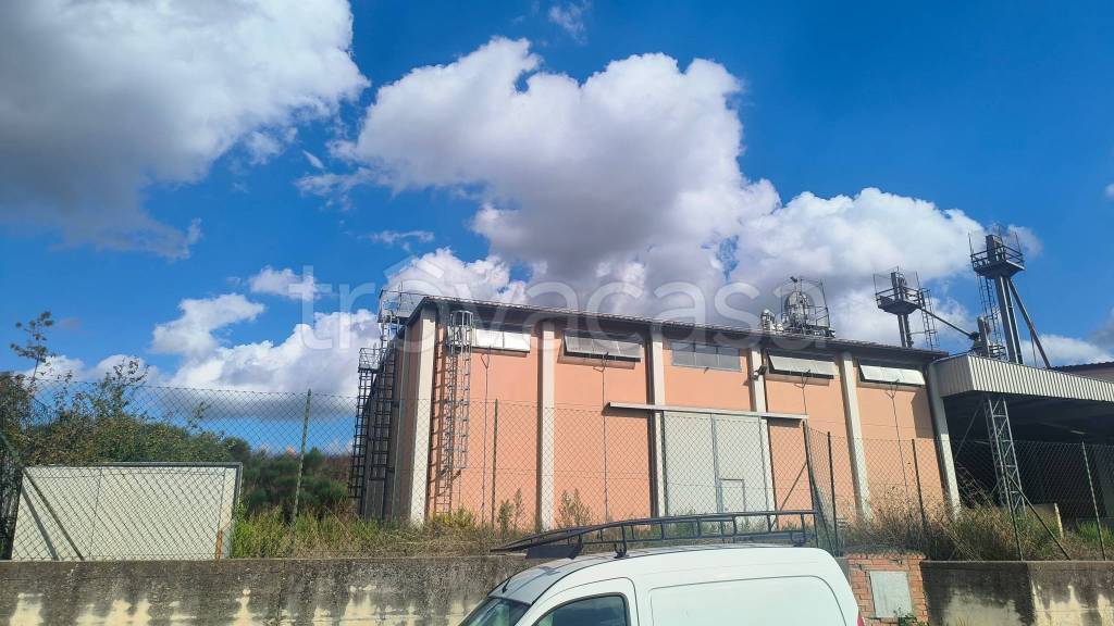 immagine annuncio 5 di 7