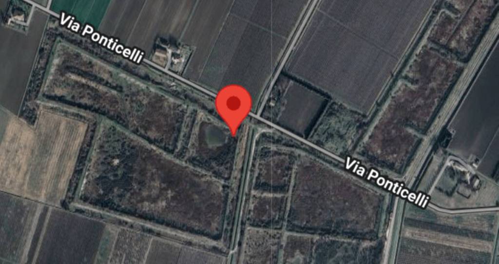 immagine annuncio 9 di 13