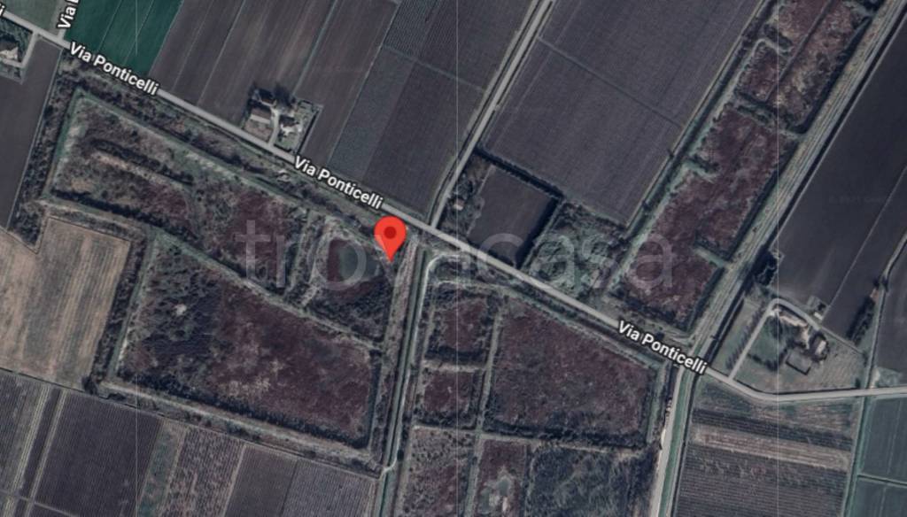 immagine annuncio 12 di 13