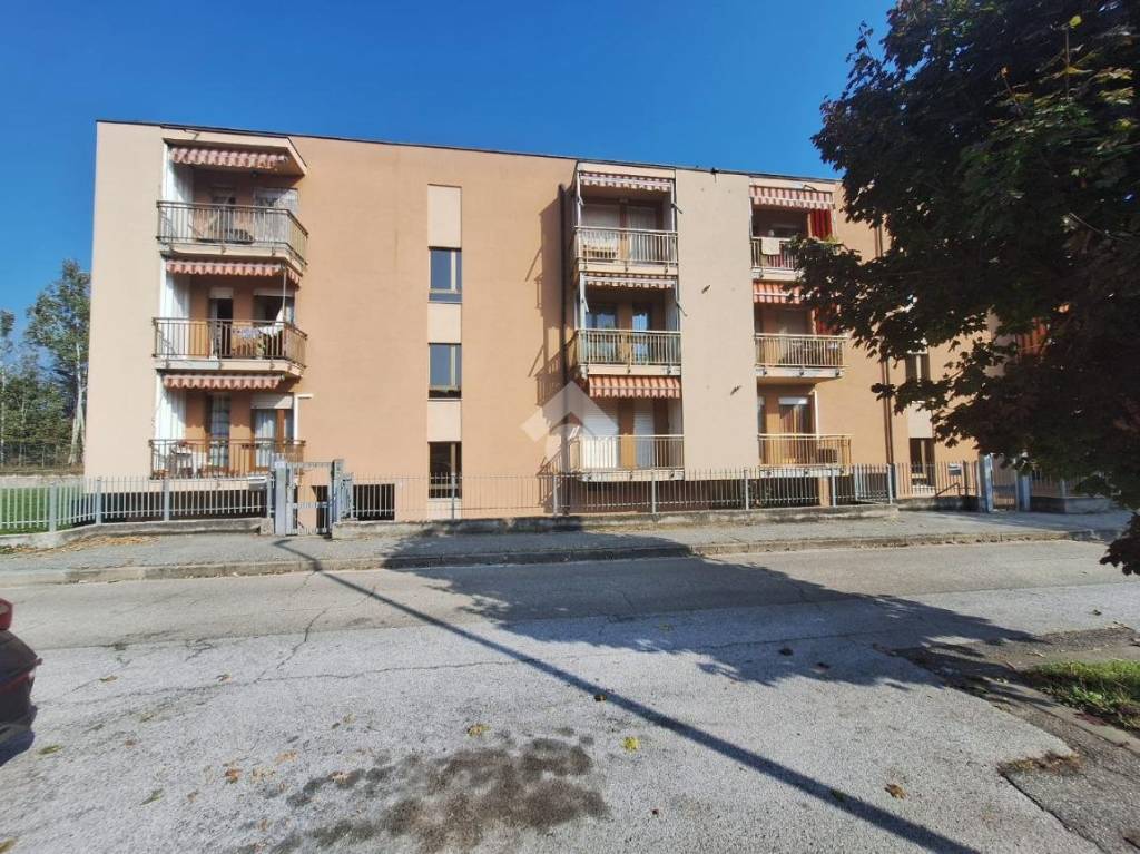 immagine annuncio 1 di 7