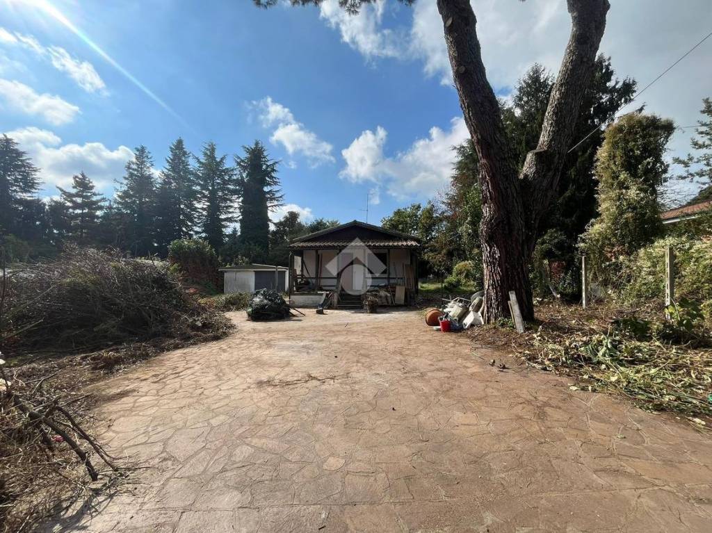 immagine annuncio 10 di 11