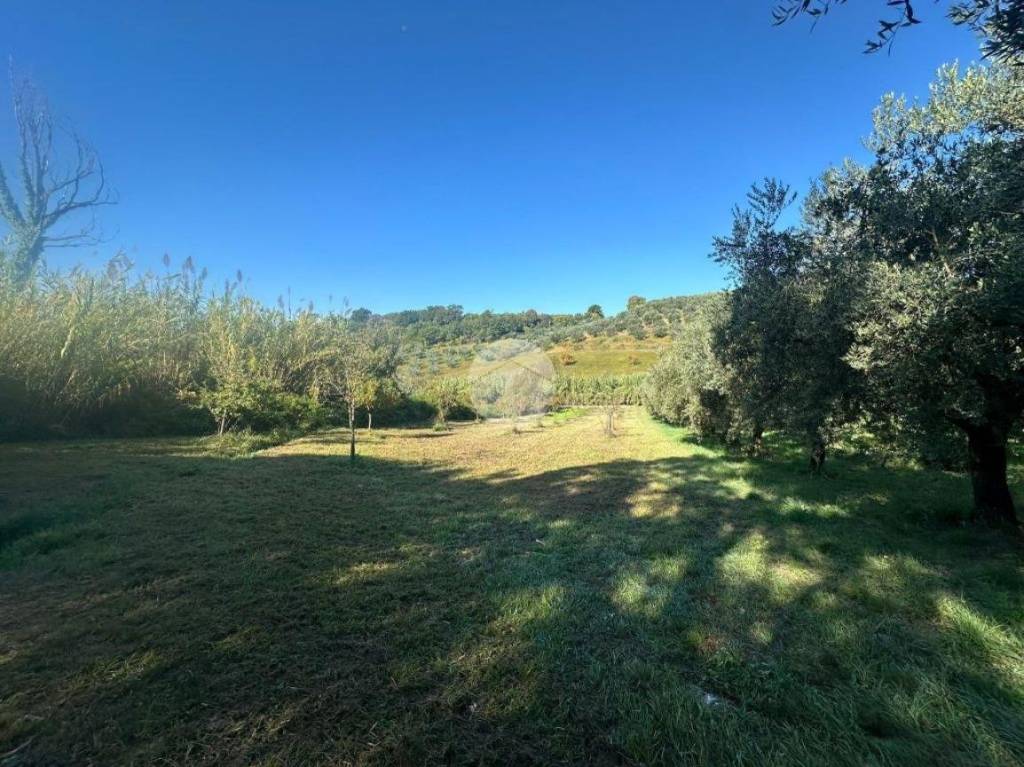 immagine annuncio 5 di 13