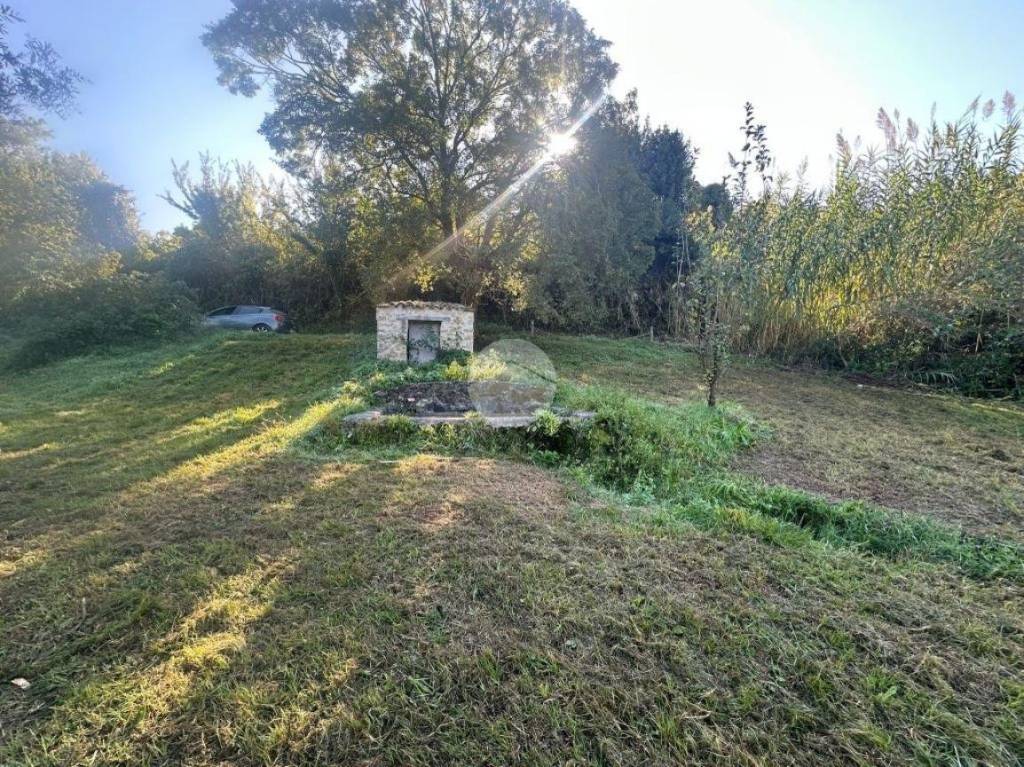 immagine annuncio 6 di 13