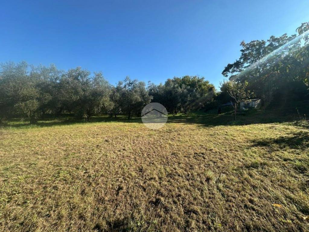 immagine annuncio 7 di 13