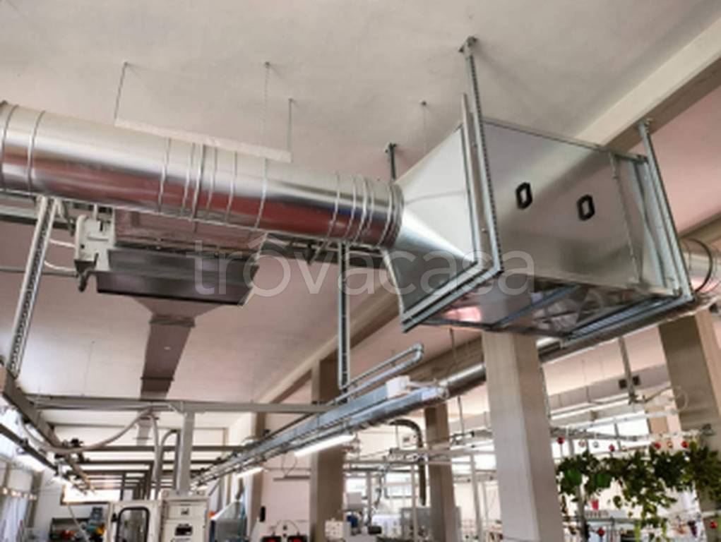 immagine annuncio 2 di 12