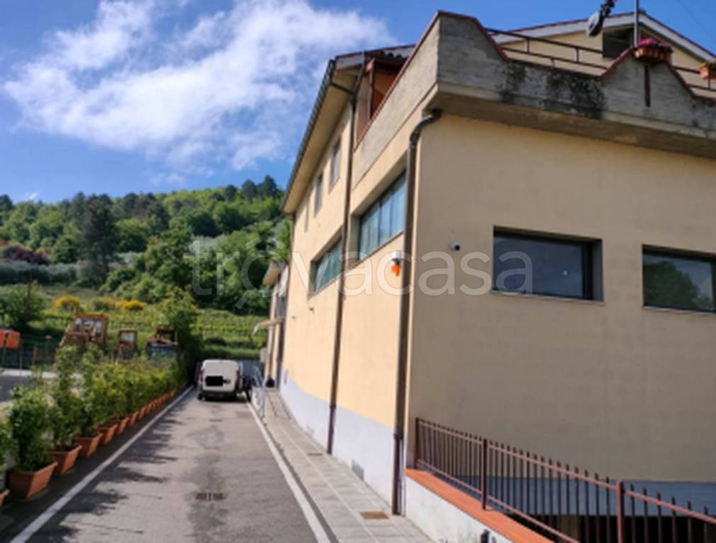 immagine annuncio 4 di 12