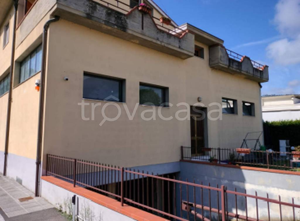 immagine annuncio 5 di 12