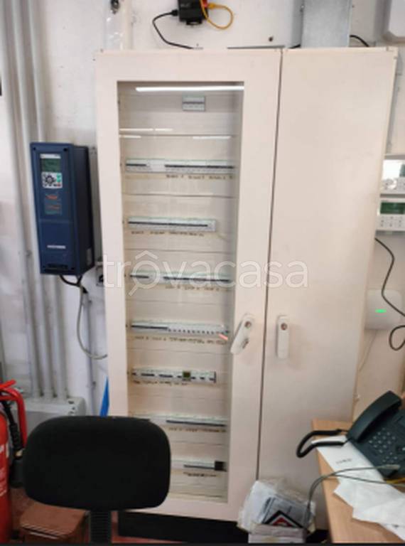 immagine annuncio 9 di 12