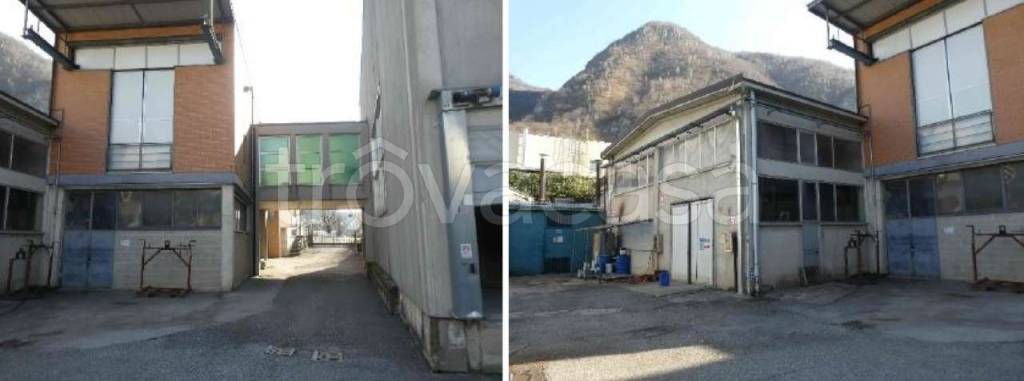 immagine annuncio 3 di 13