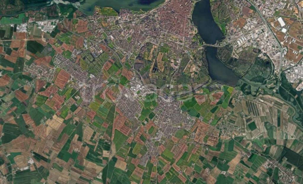 immagine annuncio 3 di 11