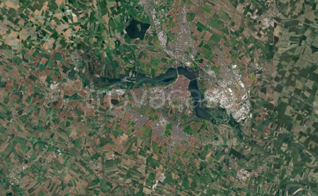 immagine annuncio 5 di 11