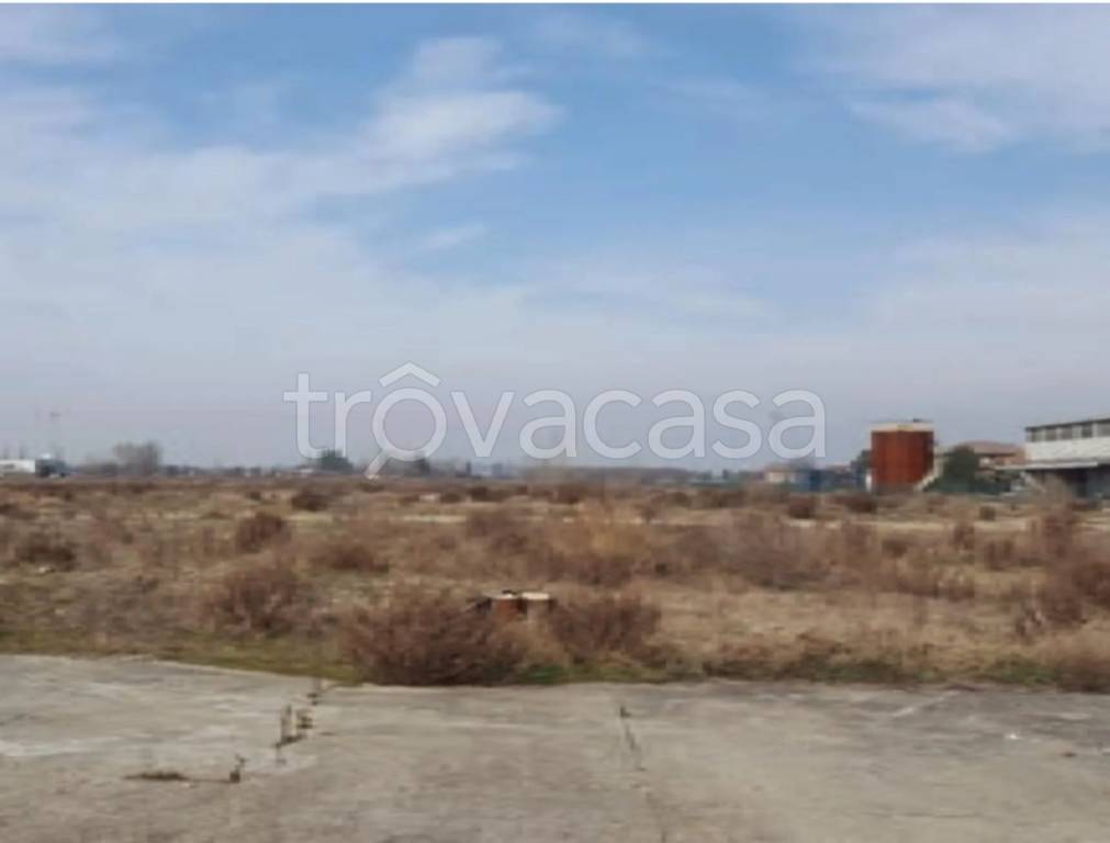 immagine annuncio 5 di 13