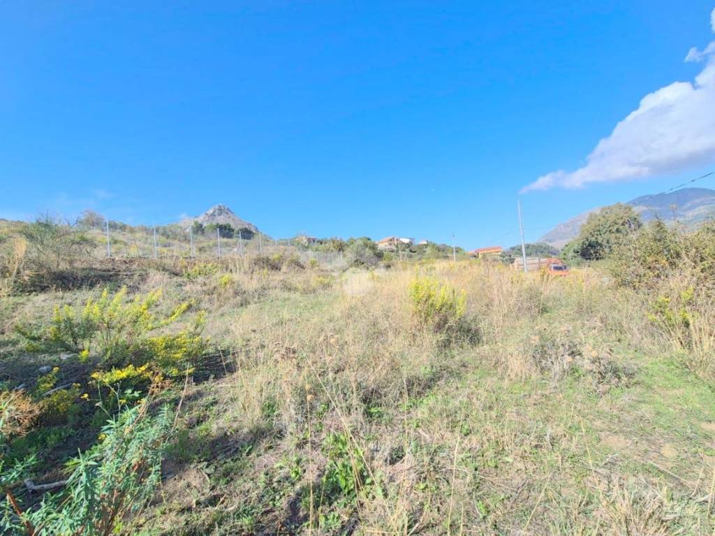 immagine annuncio 7 di 14