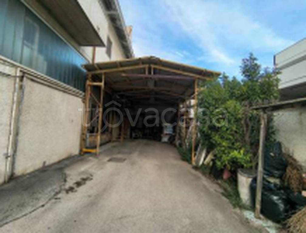 immagine annuncio 4 di 12