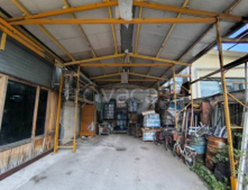 immagine annuncio 5 di 12